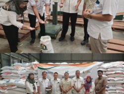 Kadis Ketahanan Pangan Tubaba Secara Langsung Melepas Penyaluran Bantuan Pangan Beras