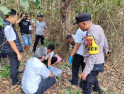 Terungkap Kasus Penemuan Kerangka Manusia di Tulang Bawang Barat, Diduga Korban Hilang