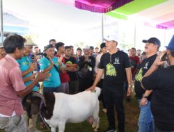 Dorong Penguatan Sektor Peternakan, Pemkab Tubaba Gelar Kopdar dan Lomba Bobot Kambing “Bolo Ngarit