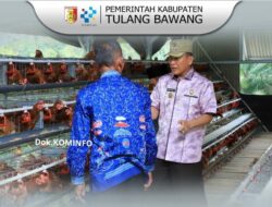 Bupati Tulang Bawang Distribusikan KKS dan Tinjau BUMKAM Peternakan Ayam Petelur di Menggala Timur
