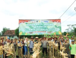 Polres Tulang Bawang Barat Gelar Panen Raya Jagung Serentak Kuartal I Tahun 2026 di Kecamatan Tumijajar