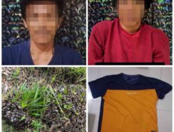 Sat Reskrim Polres Tulang Bawang Barat Amankan Pelaku Pencurian Buah Sawit Yang Meresahkan Warga di Kecamatan Gunung Terang