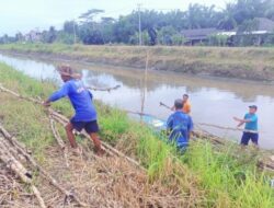 Pembangunan Jembatan Gantung Printis Garuda Kodim 0426 TB, Masuki Tahap Penurunan Kayu Gelam