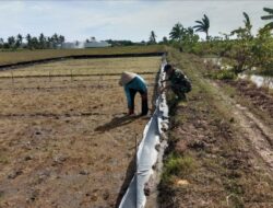 Serka Maizi, Babinsa Koramil 426-03/Rawajitu, Laksanakan Anjangsana dan Pendampingan Pertanian