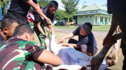 Idul Adha Penuh Makna, Kodim 0426 TB Sembelih 4 Ekor Sapi dan 9 Ekor Kambing untuk Masyarakat