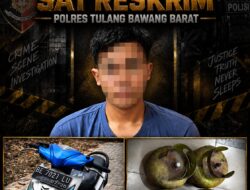 Satreskrim Polres Tulang Bawang Barat Berhasil Ungkap Kasus Tindak Pidana Pencurian Dengan Pemberatan di Kecamatan Pagar Dewa